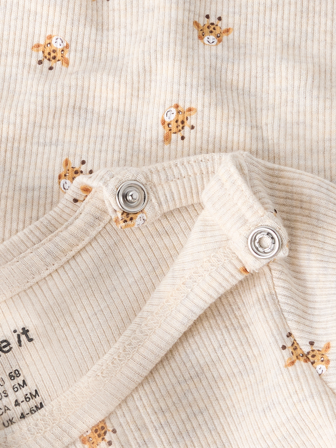 model_shot-front_full